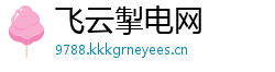飞云掣电网